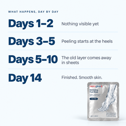 What happens day by day: days 1-2, 3-5, 5-10 and day 14